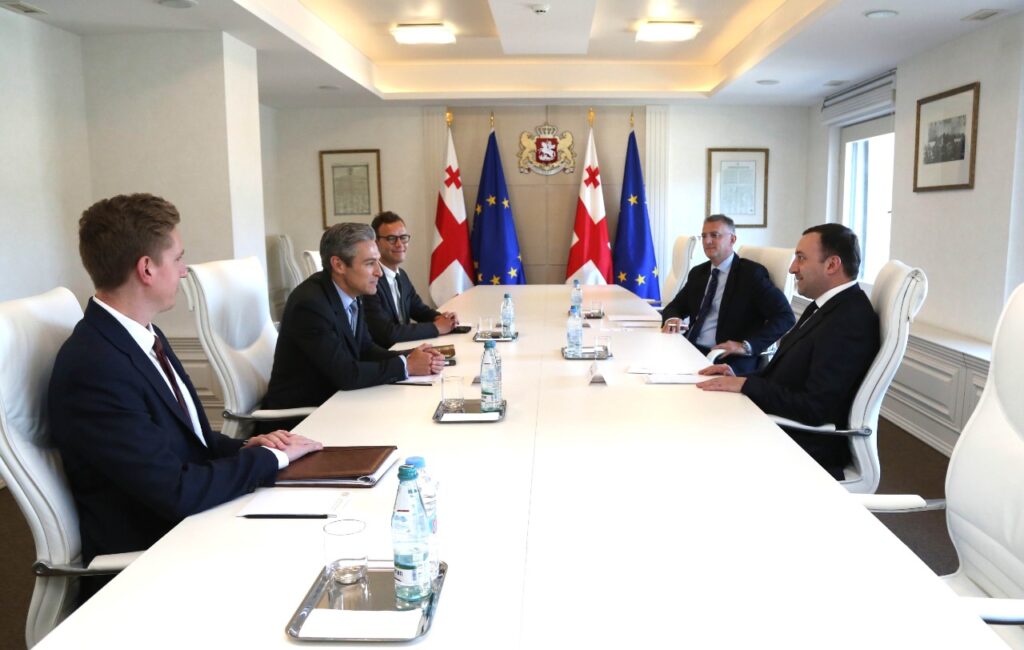 Ираклий Гарибашвили встретился с президентом Национального фонда демократии