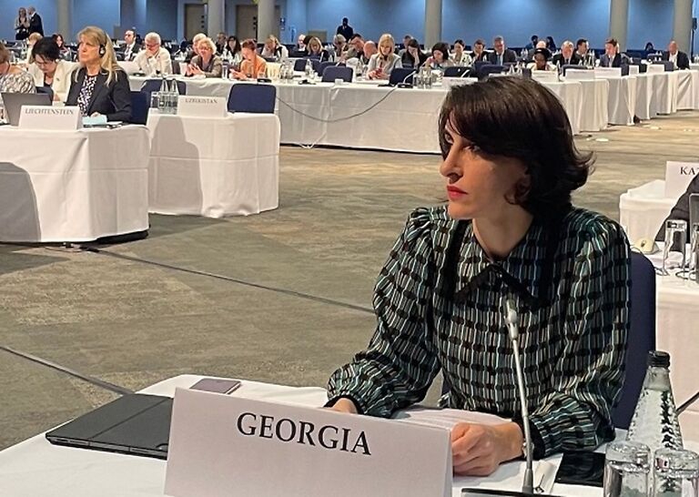 European Integration Committee Chair takes part in OSCE PA