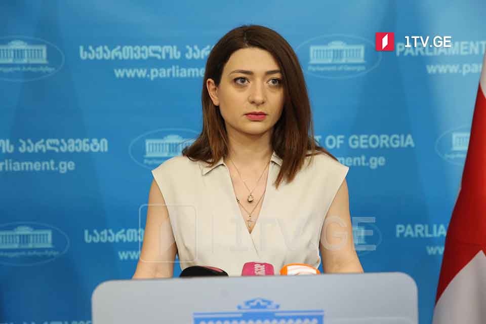 Մեր թիմի համար կտրականապես անընդունելի է, որ կարգավիճակ ստանալու, այսպես կոչված, կոնկրետ բարեփոխումների իրականացման գործընթացը կապված է սահմանադրական փոփոխությունների հետ. Անա Բուչուկուրի