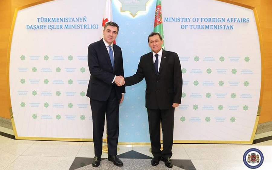 Илья Дарчиашвили встретился с туркменским коллегой