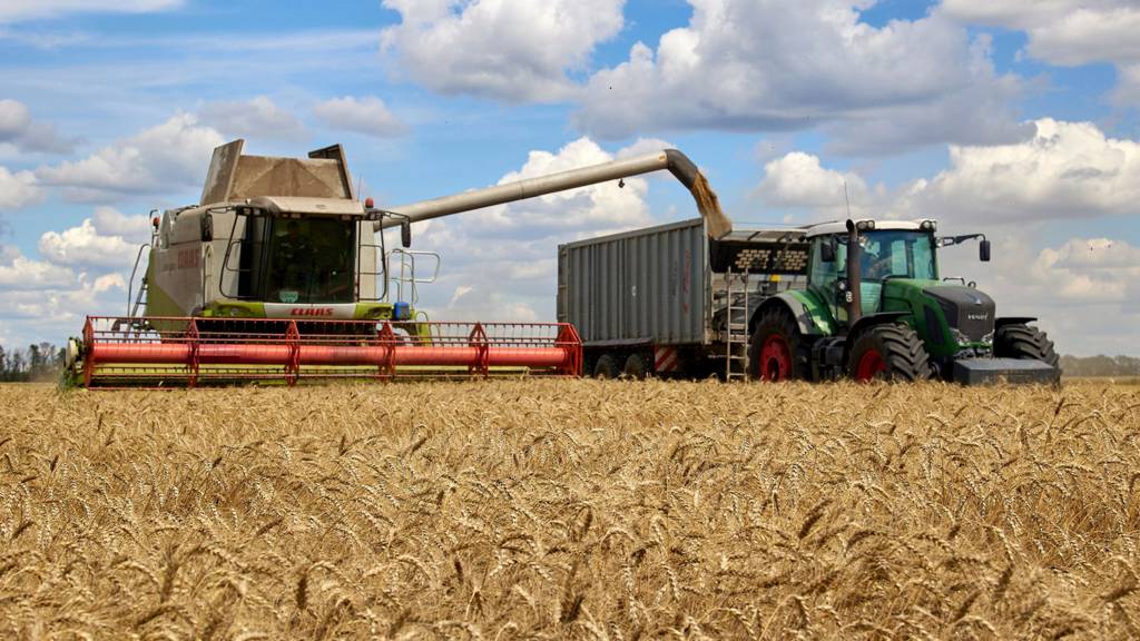 BBC - Цены на зерно на мировых рынках падают на фоне подписания в Стамбуле соглашения о  разблокировании портов для экспорта украинского зерна