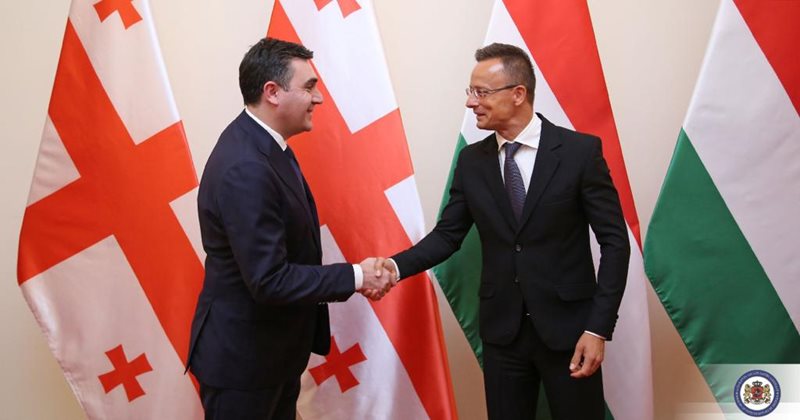 У граждан Грузии будет возможность трудоустроиться в Венгрии
