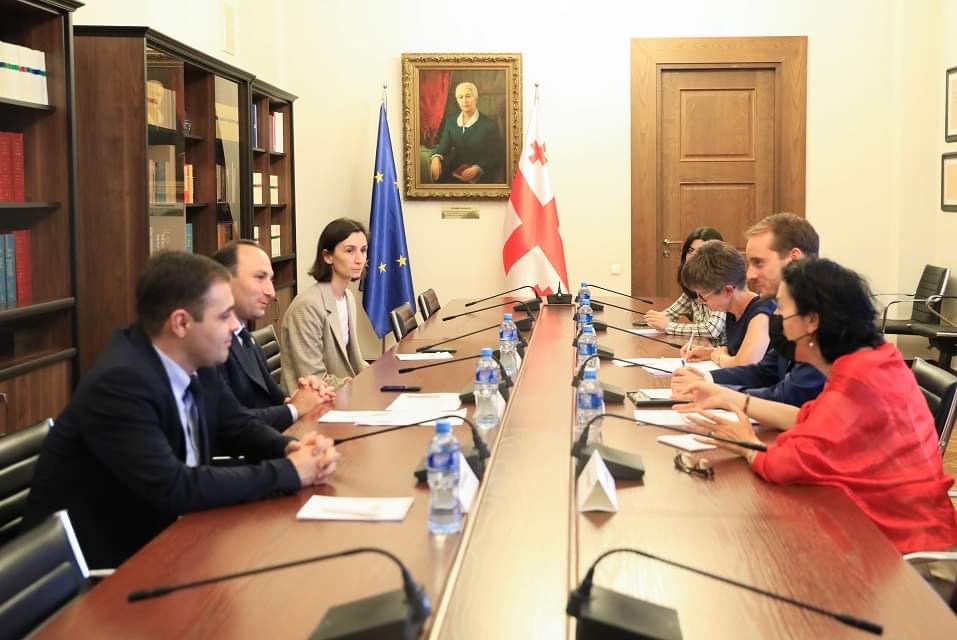 Анри Оханашвили встретился с исполняющим обязанности главы представительства ЕС в Грузии