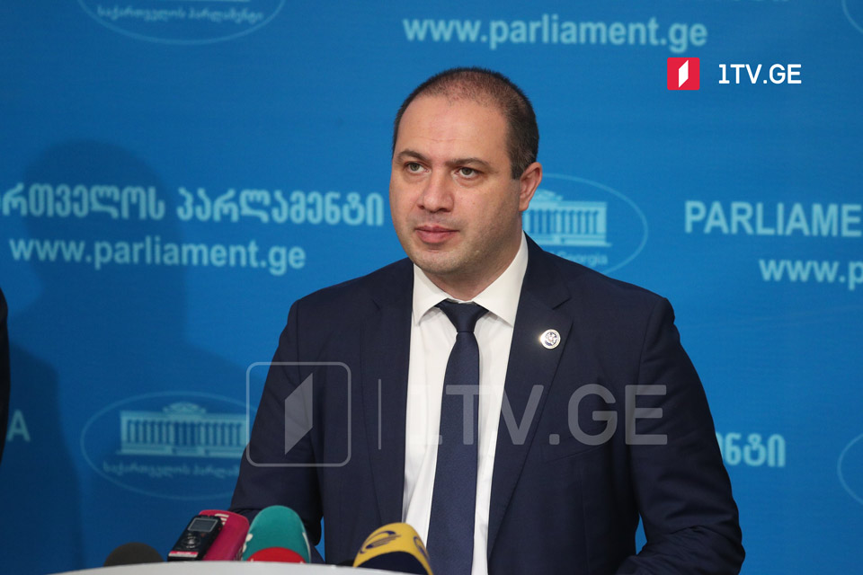 GD MP believes opposition misinforms Georgia's allies