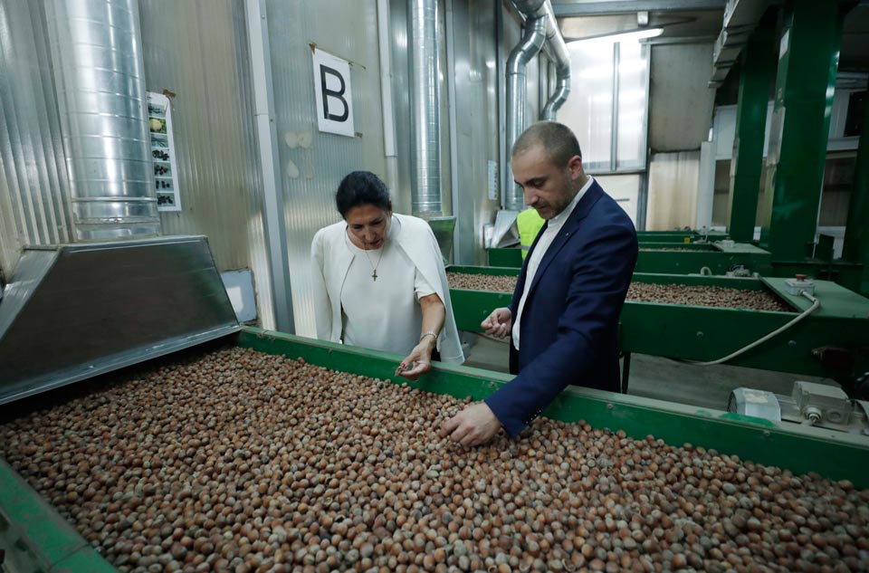 Georgian President visits ceramic studio, hazelnut factory in Samegrelo