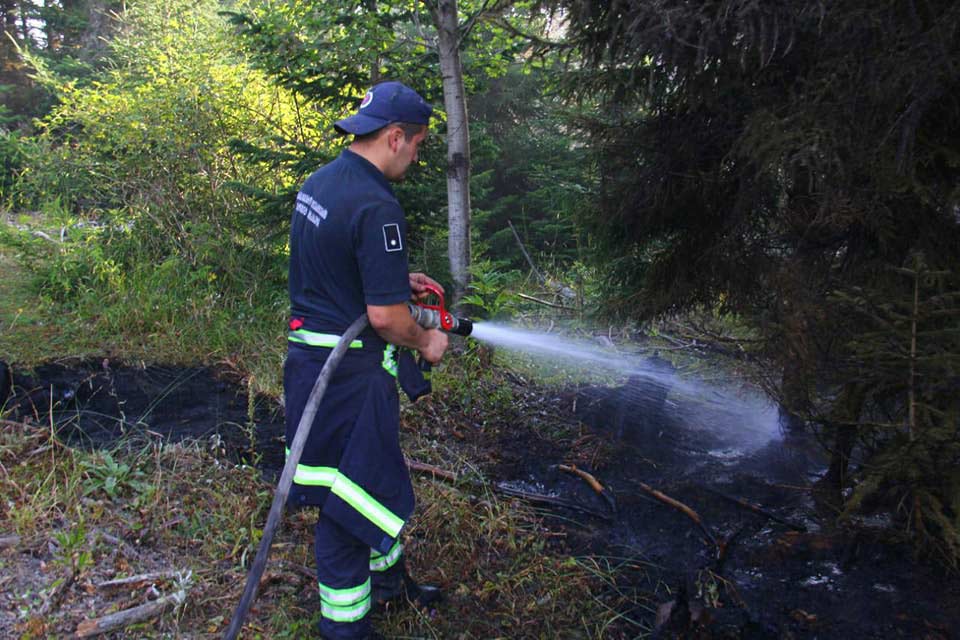 Borjomi: Fire spreading danger to populated areas removed, Emergency Management Agency says
