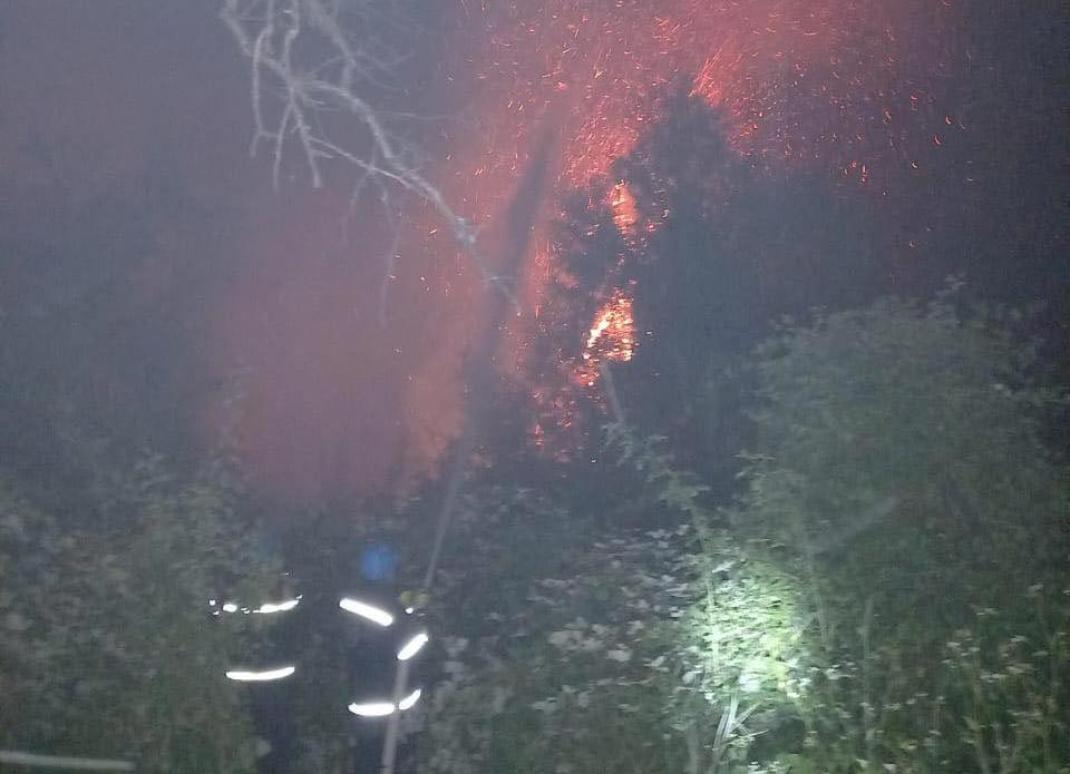 Лесной пожар в селе Дзирагеули в Рача фактически ликвидирован