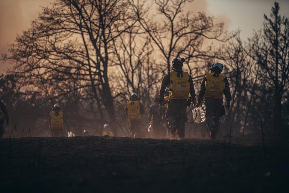 К работам по тушению пожара в Боржоми подключилась территориальная резервная рота