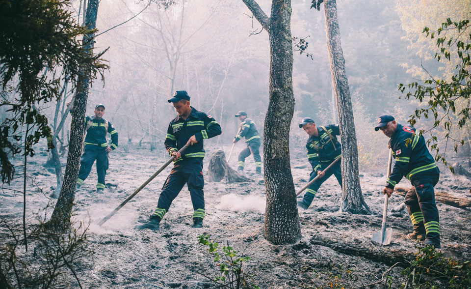 Borjomi forest fire: Major fire pockets contained, MIA says