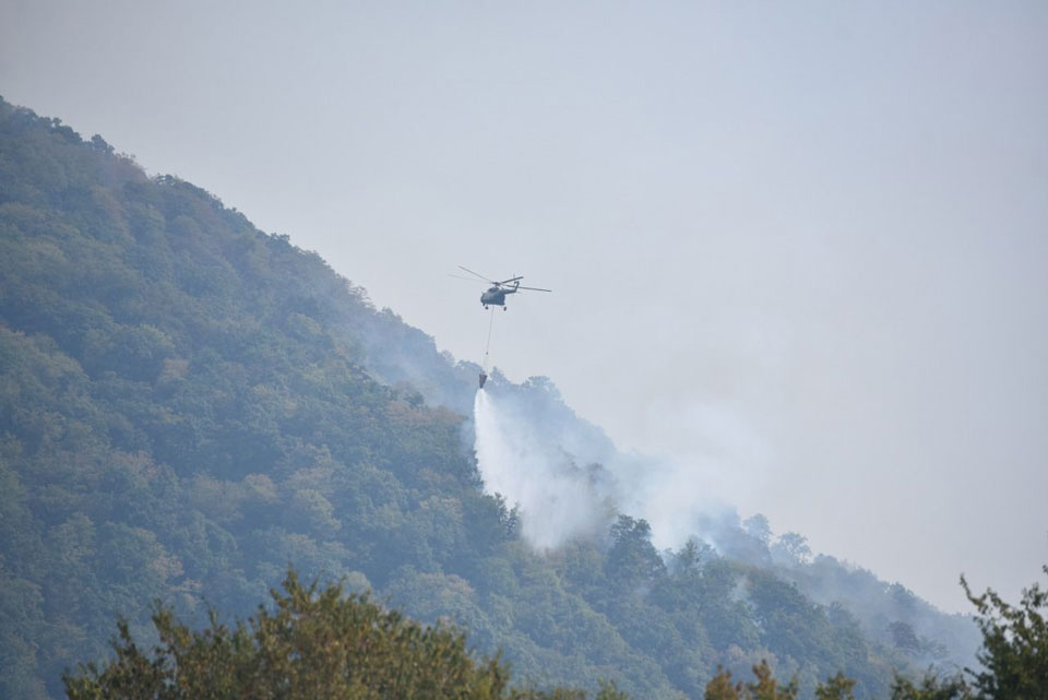 МВД - В лесу около села Шилди активно ведутся работы по локализации и тушению пожара, к тушению привлечена авиация пограничной полиции