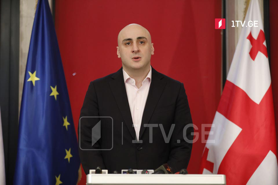UNM Chair: Gov't, society responsible for Saakashvili