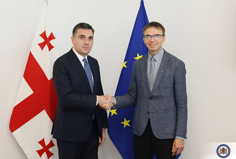Илья Дарчиашвили встретился с докладчиком Европарламента по Грузии Свеном Миксером