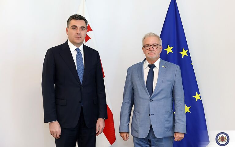 Илья Дарчиашвили встретился с депутатом Европарламента Михаэлем Галлером