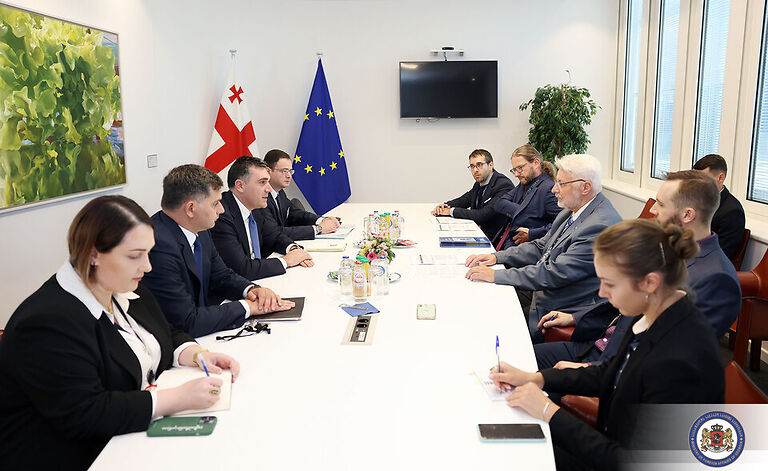 İlya Darçiaşvili Avropa Parlamentinin üzvü, Vitold Yan Vaşikovski ilə görüşşdü
