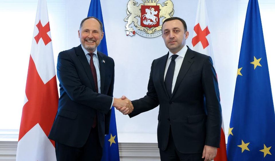 Ираклий Гарибашвили встретился с новым послом ЕС в Грузии