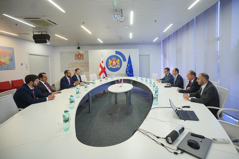 Леван Давиташвили встретился с делегацией Катарского инвестиционного агентства
