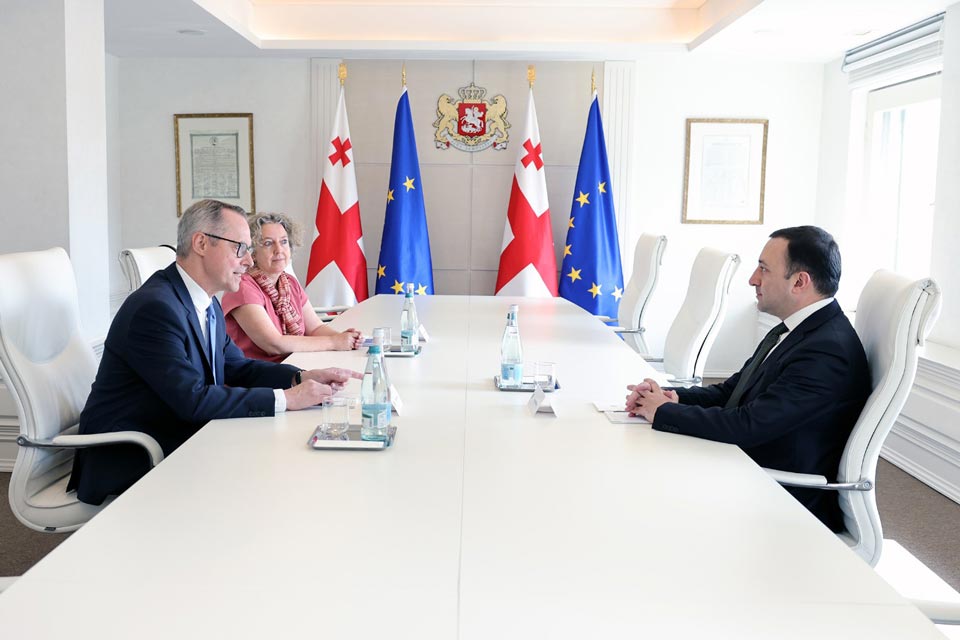 Georgian PM meets German Ambassador