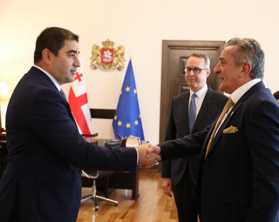 Шалва Папуашвили встретился с председателем парламента земли Саксония-Ангальт