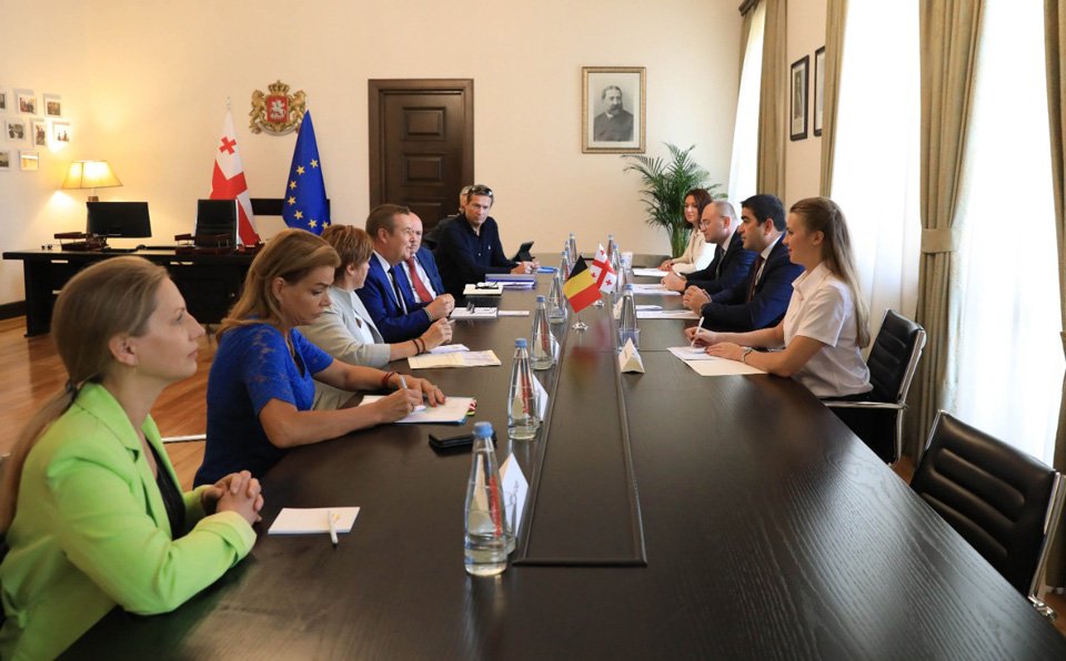 Speaker Papuashvili meets Belgium-Georgia Friendship Group