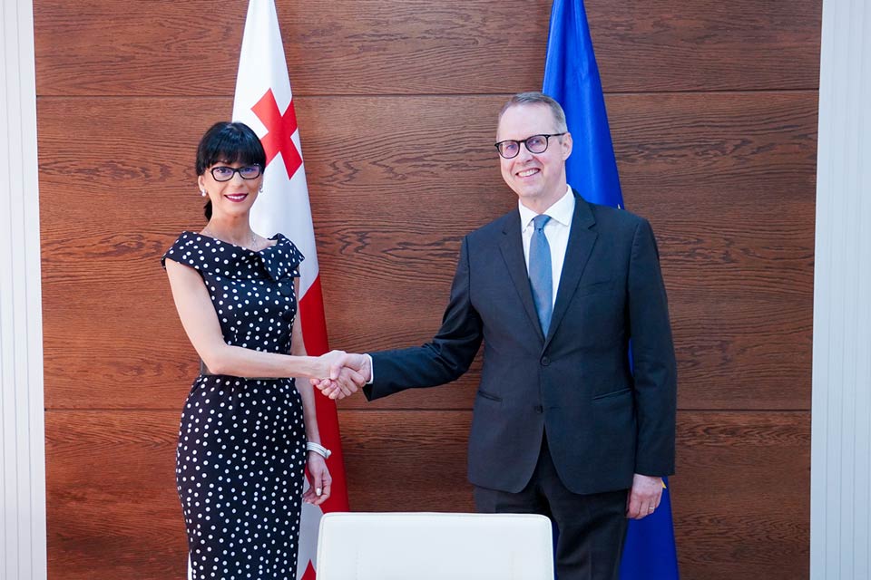 Georgian Reconciliation Minister meets German Ambassador