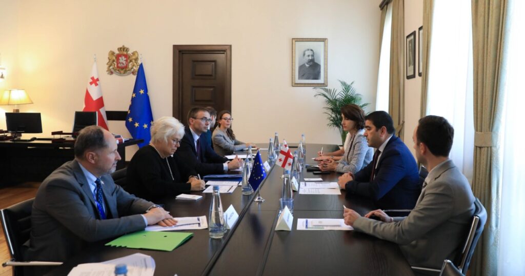 Georgia-EU Parliamentary Association Committee members hold meetings in parliament
