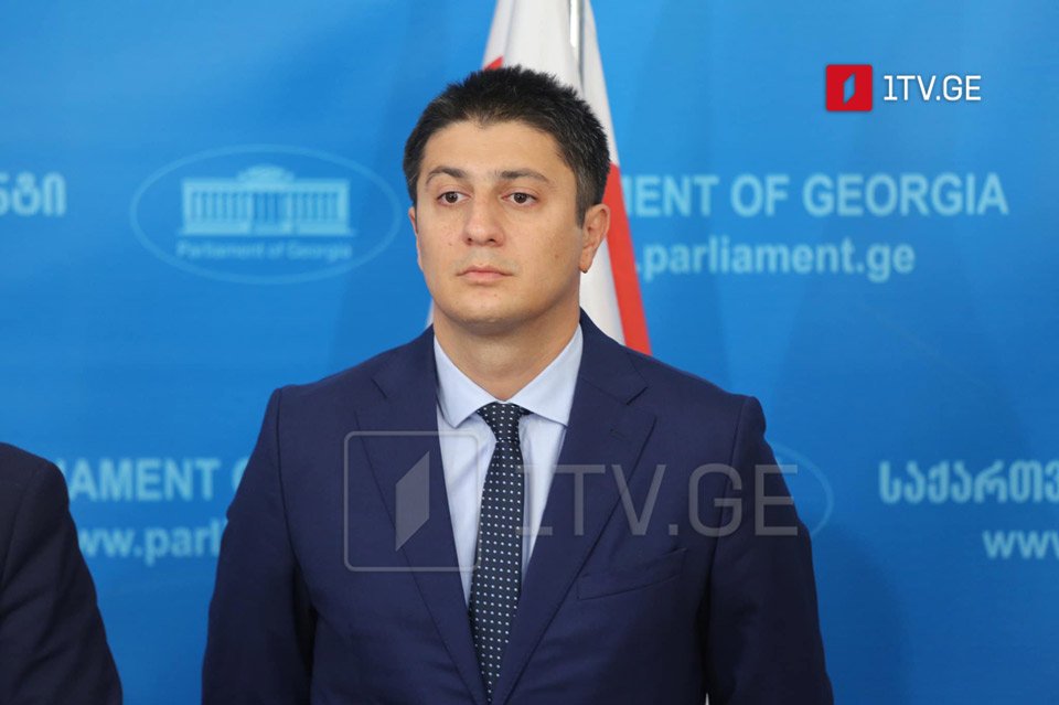 Парламент избрал Цотне Кавлашвили Генеральным аудитором Грузии