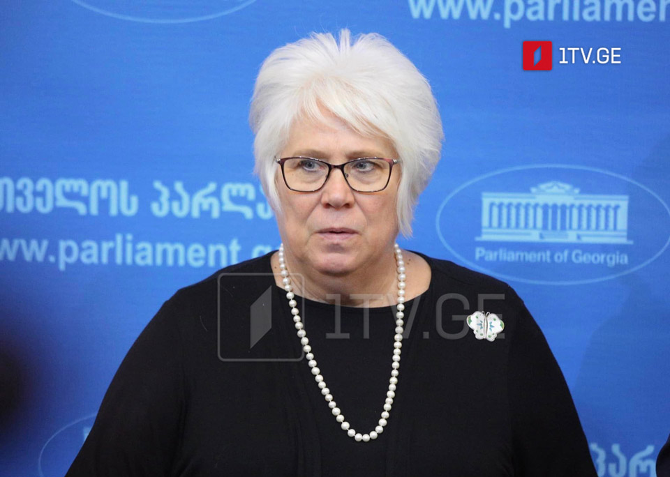 MEP Marina Kaljurand urges Georgian politicians not to waste the window of opportunity