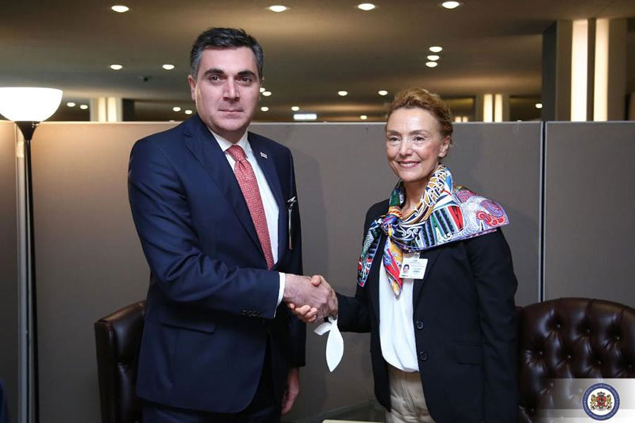 İlia Darçiaşvili Avropa Şurasının baş katibi ilə görüşüb