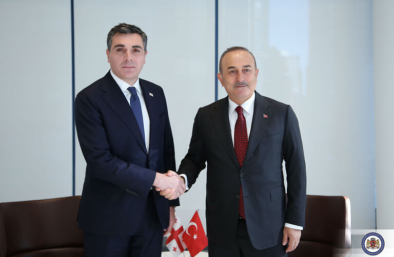 Georgian, Turkish FMs meet in NY