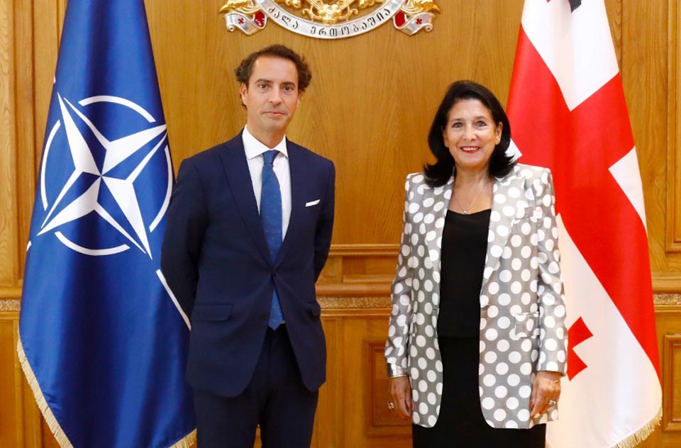 Georgian President meets NATO Sec/Gen’s Special Representative for Caucasus