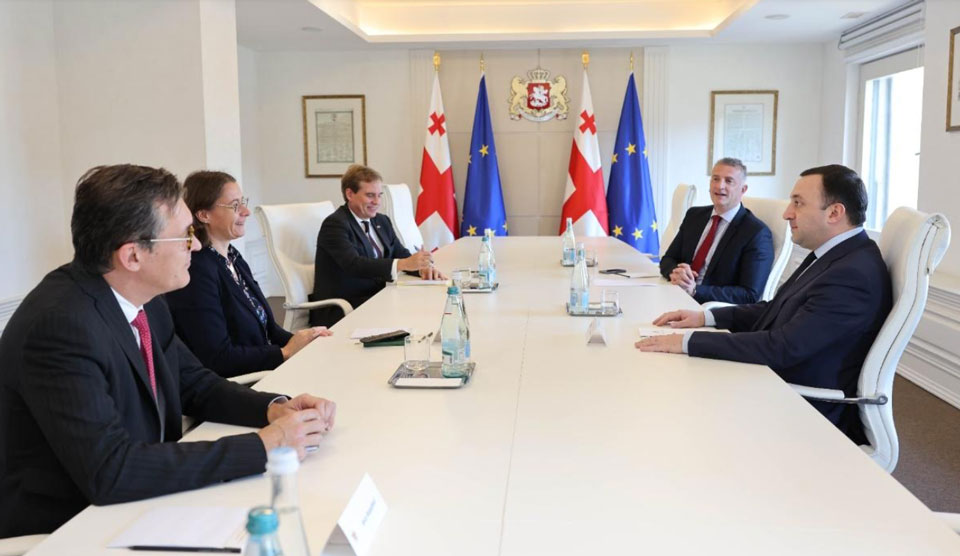Ираклий Гарибашвили встретился с дипломатическим советником президента Франции