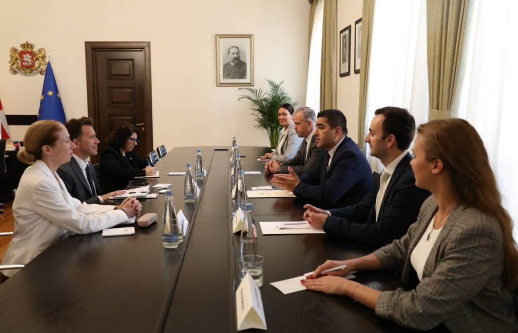 Шалва Папуашвили встретился с новоназначенным директором офиса USAID в Грузии