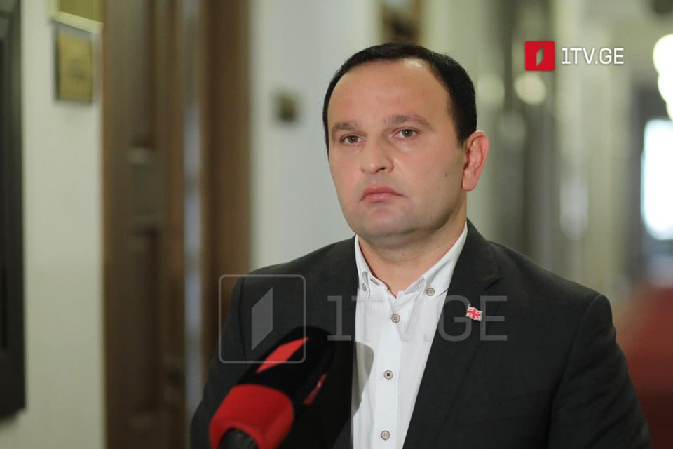 Strategy Aghmashenebeli claims primaries to be democratic method to arrange opposition party lists, others disagree
