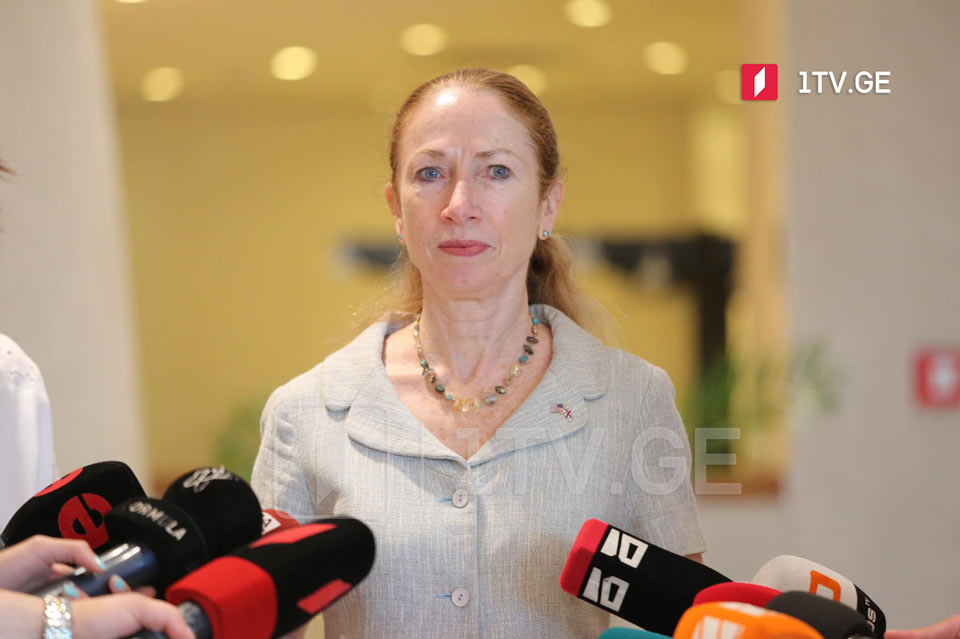 Ambassador Degnan: It is clear which side Georgians take in solidarity with Ukraine