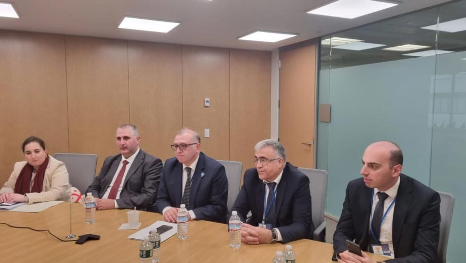 Georgian officials meet IMF representatives