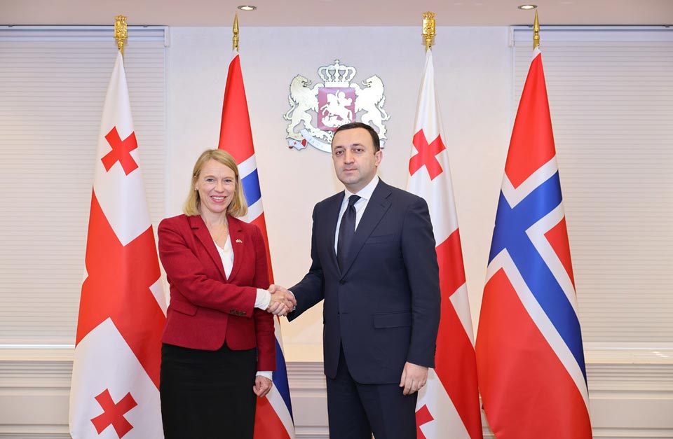 Georgian PM meets Norwegian FM