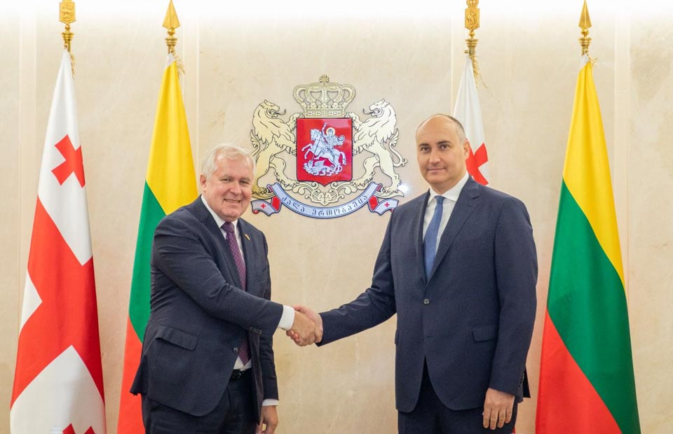 Georgian Defence Minister meets Lithuanian colleague