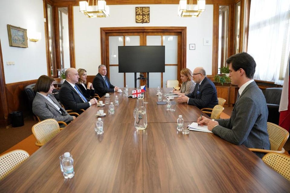 Georgian Health Minister meets Czech counterpart