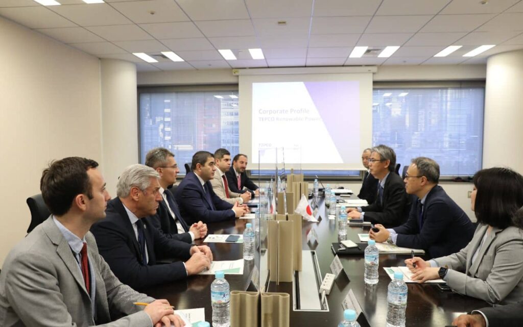 Шалва Папуашвили встретился с управляющим директором по зарубежному бизнесу японской компании TEPCO