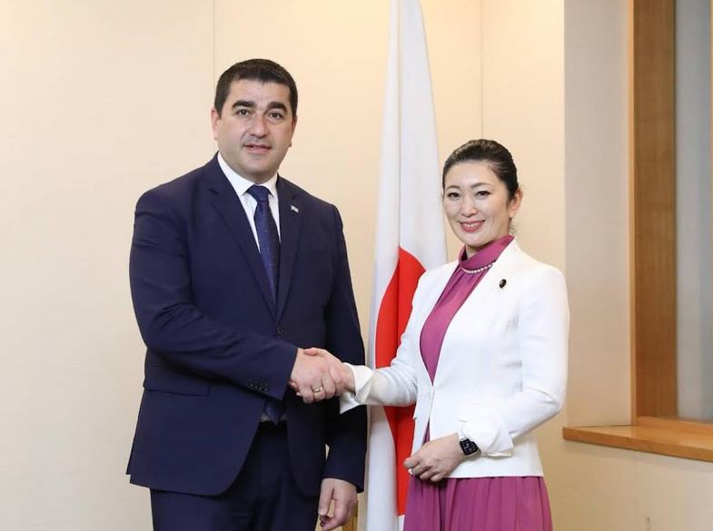 Şalva Papuaşvili Yaponiyanın xarici işlər parlament vitse naziri ilə görüşüb