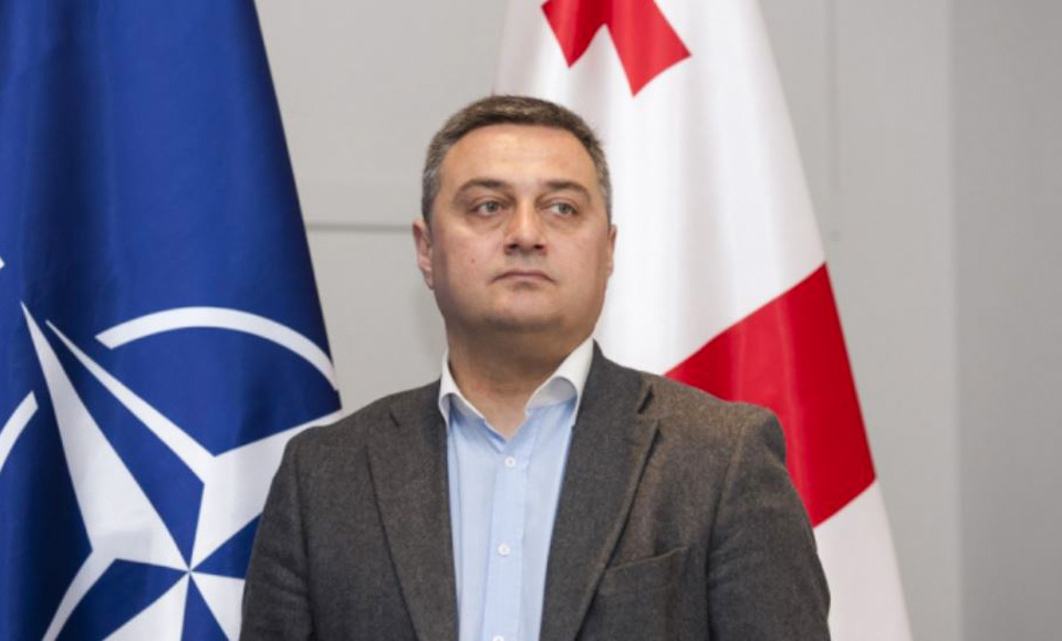 Viktor Dolidze: NATO resolution says next decade to be more effective regarding Georgia 
