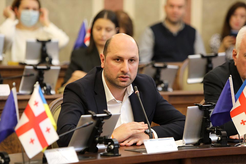 Tbilisi 2023 budget addresses present challenges, City Assembly reports