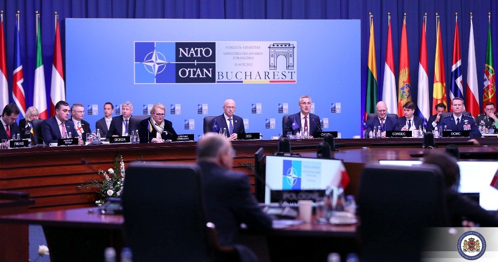 FM Darchiashvili says allies back Georgia's NATO integration