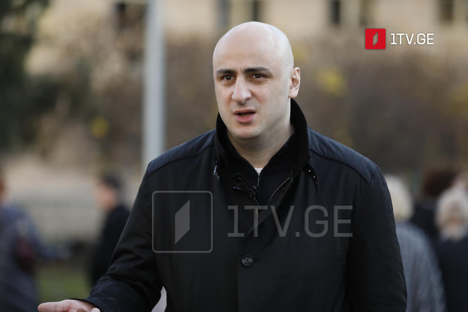 Ника Мелия подтверждает, что в течение последнего месяца несколько раз встречался с Саломе Зурабишвили