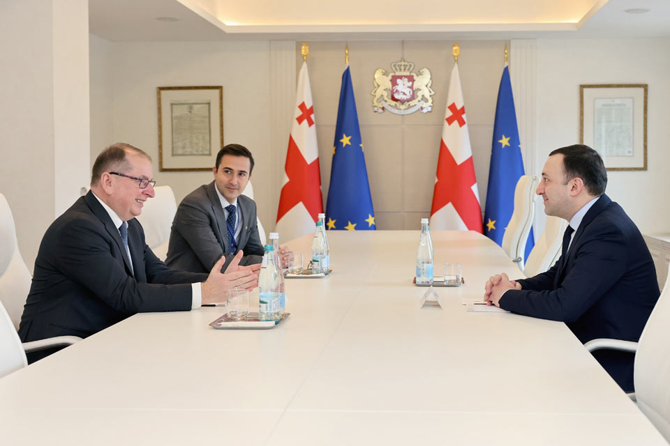 Ираклий Гарибашвили встретился с главой Миссии наблюдателей ЕС в Грузии