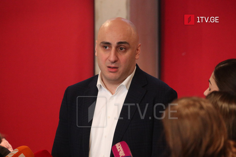 Նիկա Մելիա. Սաակաշվիլիի համար պատասխանատու է իշխանությունը, ինչպես նաև հասարակությունը, ում չի հետաքրքրում, թե ինչպիսին կլինի այս պետության ճակատագիրը առաջիկա տասնամյակներում