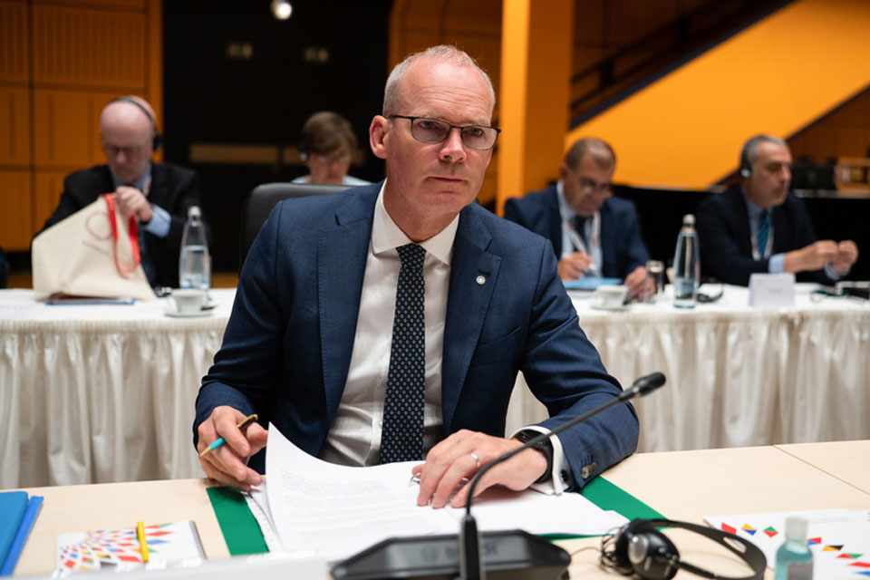 İrlandiyanın xarici işlər naziri - Şərq Tərəfdaşlığına üzv bir çox ölkə indi öz təhlükəsizliyi ilə bağlı bir il əvvəl olduğundan daha çox düşünür