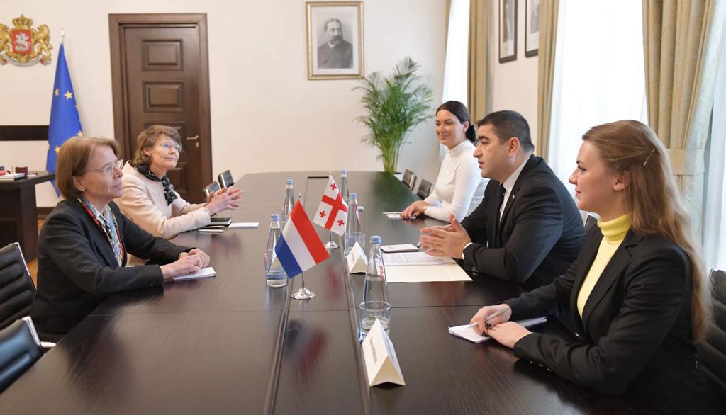 Шалва Папуашвили встретился с послом Королевства Нидерландов