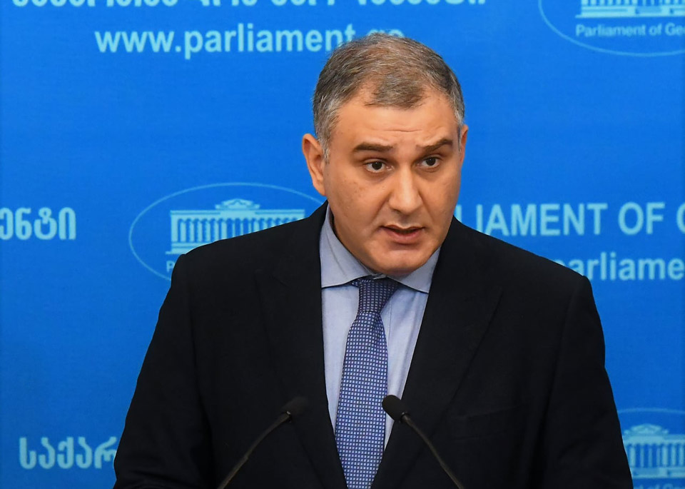 MP Sarjveladze echoes Feygin's urge for rally, saying it lacks support in Georgia