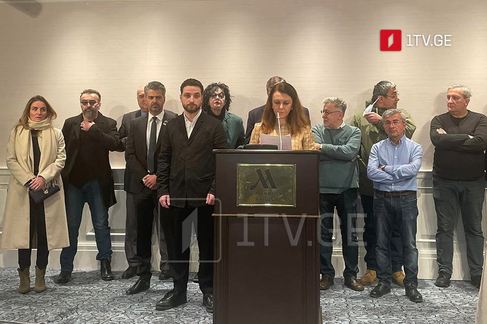 Нона Мамулашвили обратилась к Владимиру Зеленскому с просьбой освободить Михаила Саакашвили по принципу обмена пленными